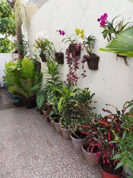Home Away From Home. Bacolod Ngoại thất bức ảnh